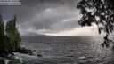 ./images/koeye/fitz-hugh/20250520/fitz-hugh20250520_192508M.jpg