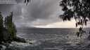 ./images/koeye/fitz-hugh/20250520/fitz-hugh20250520_193009M.jpg