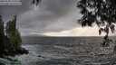 ./images/koeye/fitz-hugh/20250520/fitz-hugh20250520_193508M.jpg