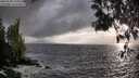 ./images/koeye/fitz-hugh/20250520/fitz-hugh20250520_194509M.jpg