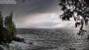 ./images/koeye/fitz-hugh/20250520/fitz-hugh20250520_195508M.jpg