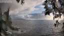 ./images/koeye/fitz-hugh/20250520/fitz-hugh20250520_200508M.jpg