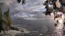 ./images/koeye/fitz-hugh/20250520/fitz-hugh20250520_201009M.jpg