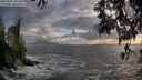 ./images/koeye/fitz-hugh/20250520/fitz-hugh20250520_201508M.jpg