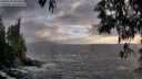 ./images/koeye/fitz-hugh/20250520/fitz-hugh20250520_202008M.jpg