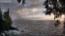 ./images/koeye/fitz-hugh/20250520/fitz-hugh20250520_202507M.jpg