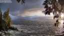 ./images/koeye/fitz-hugh/20250520/fitz-hugh20250520_203508M.jpg