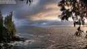 ./images/koeye/fitz-hugh/20250520/fitz-hugh20250520_204009M.jpg