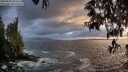 ./images/koeye/fitz-hugh/20250520/fitz-hugh20250520_204509M.jpg