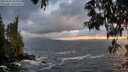 ./images/koeye/fitz-hugh/20250520/fitz-hugh20250520_205009M.jpg