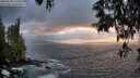 ./images/koeye/fitz-hugh/20250520/fitz-hugh20250520_210009M.jpg
