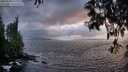 ./images/koeye/fitz-hugh/20250520/fitz-hugh20250520_210506M.jpg