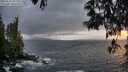 ./images/koeye/fitz-hugh/20250520/fitz-hugh20250520_212509M.jpg