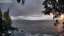 ./images/koeye/fitz-hugh/20250520/fitz-hugh20250520_213009M.jpg