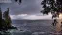 ./images/koeye/fitz-hugh/20250520/fitz-hugh20250520_213508M.jpg