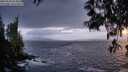 ./images/koeye/fitz-hugh/20250520/fitz-hugh20250520_214009M.jpg
