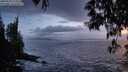 ./images/koeye/fitz-hugh/20250520/fitz-hugh20250520_215009M.jpg