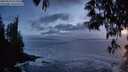 ./images/koeye/fitz-hugh/20250520/fitz-hugh20250520_215509M.jpg