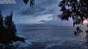 ./images/koeye/fitz-hugh/20250520/fitz-hugh20250520_220009M.jpg