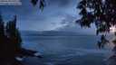 ./images/koeye/fitz-hugh/20250520/fitz-hugh20250520_220508M.jpg