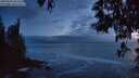 ./images/koeye/fitz-hugh/20250520/fitz-hugh20250520_221009M.jpg