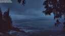 ./images/koeye/fitz-hugh/20250521/fitz-hugh20250521_044509M.jpg