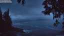 ./images/koeye/fitz-hugh/20250521/fitz-hugh20250521_045009M.jpg