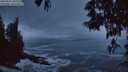 ./images/koeye/fitz-hugh/20250521/fitz-hugh20250521_045509M.jpg