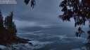 ./images/koeye/fitz-hugh/20250521/fitz-hugh20250521_050008M.jpg