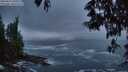 ./images/koeye/fitz-hugh/20250521/fitz-hugh20250521_050507M.jpg