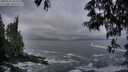 ./images/koeye/fitz-hugh/20250521/fitz-hugh20250521_052507M.jpg