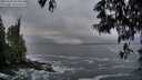 ./images/koeye/fitz-hugh/20250521/fitz-hugh20250521_053009M.jpg