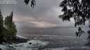 ./images/koeye/fitz-hugh/20250521/fitz-hugh20250521_053509M.jpg