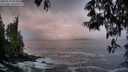 ./images/koeye/fitz-hugh/20250521/fitz-hugh20250521_054509M.jpg