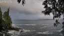 ./images/koeye/fitz-hugh/20250521/fitz-hugh20250521_063510M.jpg
