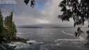 ./images/koeye/fitz-hugh/20250521/fitz-hugh20250521_074510M.jpg