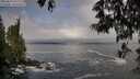 ./images/koeye/fitz-hugh/20250521/fitz-hugh20250521_075510M.jpg