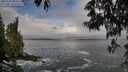 ./images/koeye/fitz-hugh/20250521/fitz-hugh20250521_080509M.jpg
