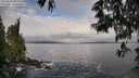 ./images/koeye/fitz-hugh/20250521/fitz-hugh20250521_082011M.jpg