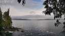 ./images/koeye/fitz-hugh/20250521/fitz-hugh20250521_083509M.jpg