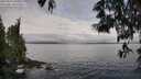 ./images/koeye/fitz-hugh/20250521/fitz-hugh20250521_090010M.jpg