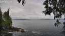 ./images/koeye/fitz-hugh/20250521/fitz-hugh20250521_093509M.jpg