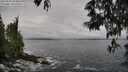 ./images/koeye/fitz-hugh/20250521/fitz-hugh20250521_094009M.jpg