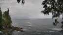 ./images/koeye/fitz-hugh/20250521/fitz-hugh20250521_102009M.jpg