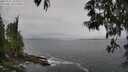 ./images/koeye/fitz-hugh/20250521/fitz-hugh20250521_105011M.jpg