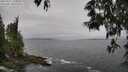 ./images/koeye/fitz-hugh/20250521/fitz-hugh20250521_110011M.jpg