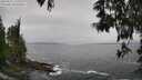 ./images/koeye/fitz-hugh/20250521/fitz-hugh20250521_110510M.jpg