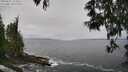 ./images/koeye/fitz-hugh/20250521/fitz-hugh20250521_112510M.jpg