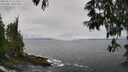 ./images/koeye/fitz-hugh/20250521/fitz-hugh20250521_113508M.jpg