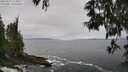 ./images/koeye/fitz-hugh/20250521/fitz-hugh20250521_114010M.jpg